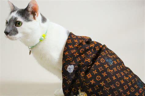 louis vuitton cat collar|louis vuitton catogram.